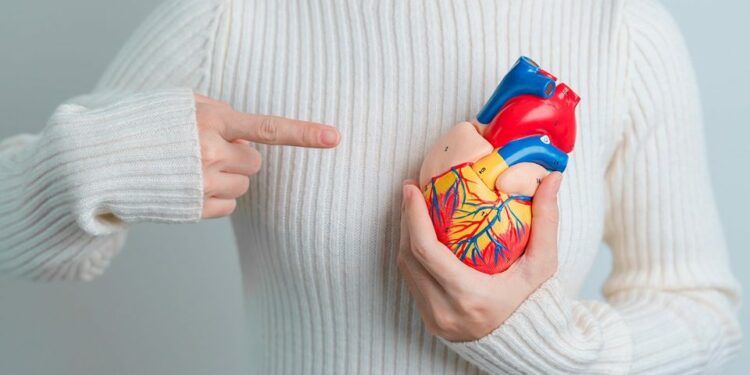 Corazón, diabetes y cáncer: las principales causas de muerte en SLP