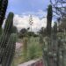 Festival de Otoño en El Izotal: Jardín botánico de la UASLP invita