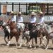 Hoy la Charreada Universitaria en el Lienzo “Hermoso Cariño”