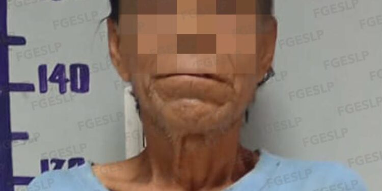 Detienen a hombre por presunto abuso sexual calificado en Matlapa