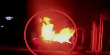 Sinaloa reporta balaceras, homicidios y vehículos incendiados