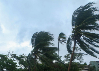 Tormenta tropical Marie podría ser huracán hoy: CNPC pide extremar precauciones