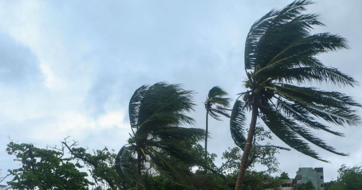 Tormenta tropical Marie podría ser huracán hoy: CNPC pide extremar precauciones