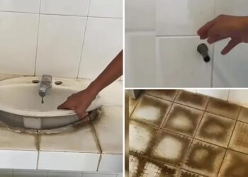 Expulsan a estudiante del CETMAR en Salina Cruz tras difundir video sobre las condiciones de los sanitarios