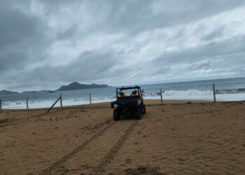 Se forma tormenta tropical “Marie” en el Pacífico: Estas son las entidades afectadas