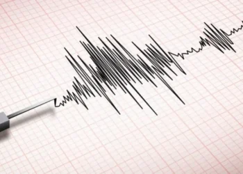 Sismo de magnitud 4.8 se registra al sureste de Sayula de Alemán, Veracruz