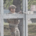 Cinco hombres son detenidos cerca de base militar usada por Estados Unidos en Reino Unido