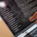 Advertencias sobre redes sociales llegaron tarde para muchos niños. ¿Será distinto con la IA?