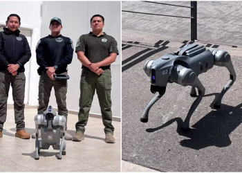 Perros robot de la Guardia Civil en SLP: así vigilan, exploran zonas de riesgo y apoyan operativos