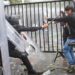 CNDH investiga presuntas agresiones policiales durante protesta por el agua en Guadalajara