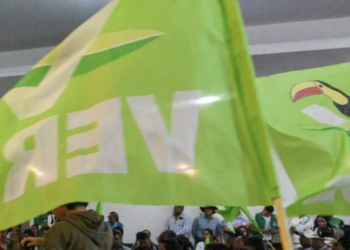 PVEM apuesta por candidaturas propias en alcaldías y mantiene alianza federal rumbo a 2027