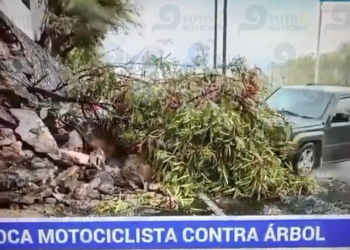 ¡Tragedia durante una cobertura! Atropellan a reportera y camarógrafo