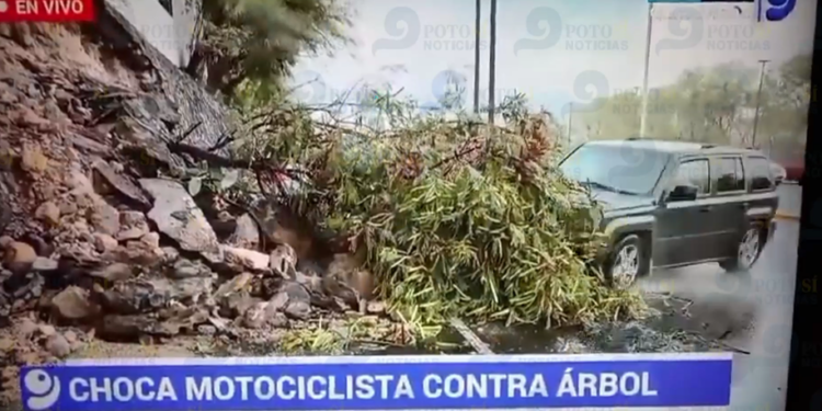 ¡Tragedia durante una cobertura! Atropellan a reportera y camarógrafo
