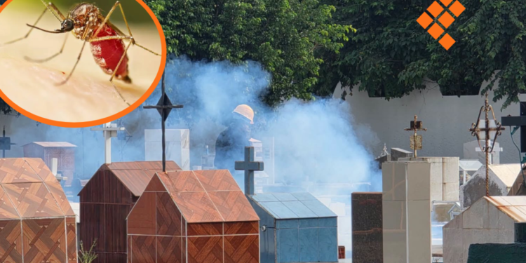 Intensifican acciones de fumigación y control larvario en panteones por celebraciones de Día de Muertos