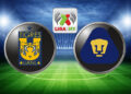 Hoy por la noche hay duelo felino!! Pumas vs Tigres ya genera expectativas