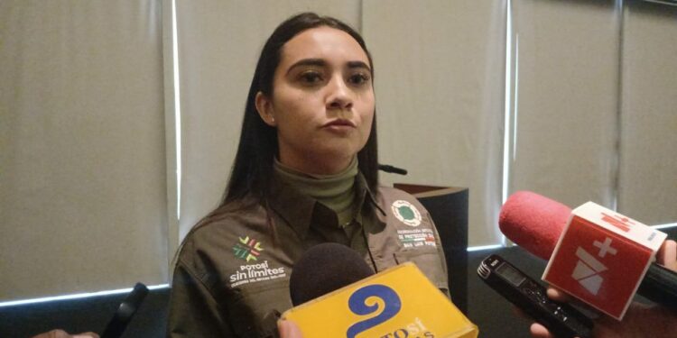 VIDEO | Lluvias han dejado solo daños materiales: Protección Civil