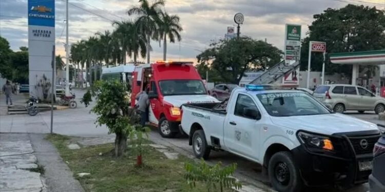 Hombre pierde la vida tras ataque de abejas