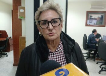 Morena destruyó el sistema de salud: Frinné Azuara