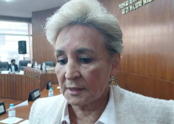 Diputada pide atender problemática del IMSS antes de ir a huelga