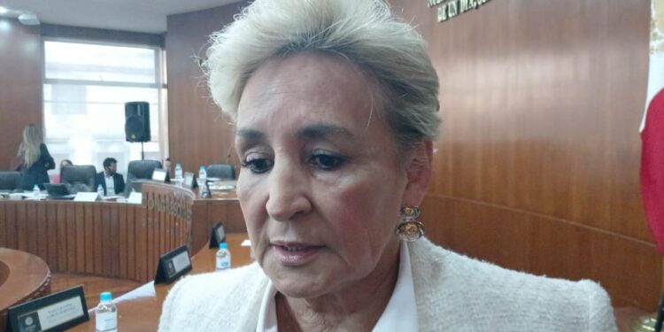 Diputada pide atender problemática del IMSS antes de ir a huelga