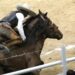 Arena Potosí alberga la jornada 18 del Campeonato Nacional Charro 2026