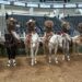 Escaramuza RG2 avanza a semifinales del LXXXII Campeonato Nacional Charro