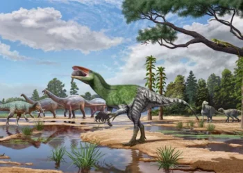 Descubren en Reino Unido una nueva especie de dinosaurio carnívoro emparentado con el T. rex