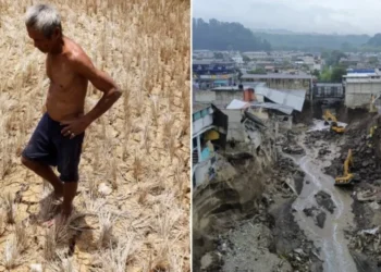 El Niño se intensificará y alcanzará su máximo en diciembre, alerta la ONU