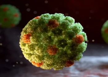 Gripe se adelanta en Estados Unidos; vigilan mutación del H1N1 que podría evadir parte de la inmunidad