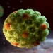 Gripe se adelanta en Estados Unidos; vigilan mutación del H1N1 que podría evadir parte de la inmunidad