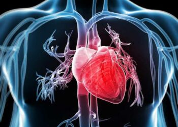 Cardiopatías en mujeres mexicanas: síntomas y factores de riesgo clave