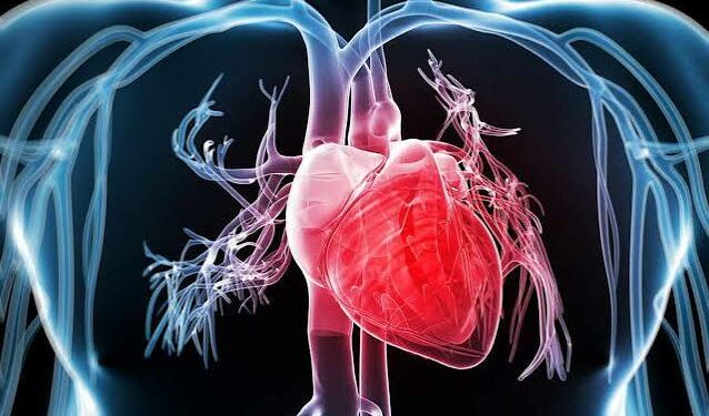 Cardiopatías en mujeres mexicanas: síntomas y factores de riesgo clave