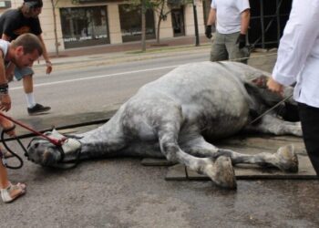 Nueva York prohíbe los carruajes tirados por caballos tras 20 años de debate