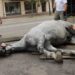 Nueva York prohíbe los carruajes tirados por caballos tras 20 años de debate