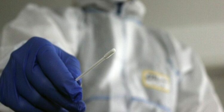 Presunto brote de peste pulmonar en Siberia activa alertas en el mundo