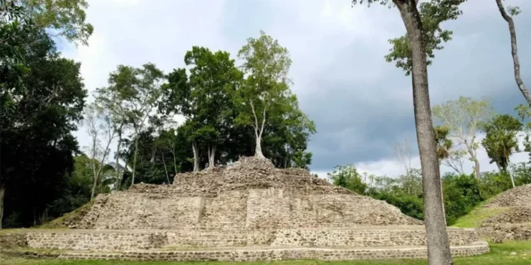 Denuncian a funcionaria por ingresar sin permiso a zona arqueológica en Quintana Roo